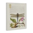 thumbnail image 3 of Stupell Industries French Country Vintage Dragonfly & Plants Canvas Art, 24 x 30, by Melissa Wang, 3 of 8