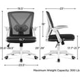 thumbnail image 2 of CHAUKY Ergonomic Office Chair Adjustable Mesh Computer Desk Chair with Flip-up Armrests Lumbar Support for Home Office White, 2 of 18