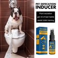 thumbnail image 2 of 30Ml Pet Dogs Spray Inducer Dogs Toilet Training Spray Dogs Cats Supplies, 2 of 3