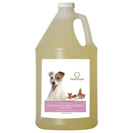 UPC: 0835043000263 | Oster HydroSurge Whitening and Brightening Shampoo Gallon – Cherry Blossom Scent