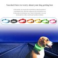 thumbnail image 4 of Collier Lumineux pour Animaux de Compagnie Rechargeable par USB, Collier Lumineux à LED avec Sangle, Rose, m, 4 of 6