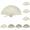 A*5+B*5+C*5+D*5, variant on Personalized Fans for Wedding Guests Custom Wooden Folding Handheld Fans Bulk with Tassels & Organza Bags Wedding Favors for Guests,Baby Shower Favors,Birthday Party Gifts (C-1pcs)