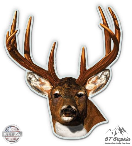Deer Buck - 8