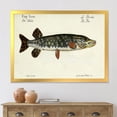 thumbnail image 3 of Designart 'Portrait Of A Green Fish On Beige' Nautical & Coastal Framed Art Print, 3 of 4