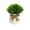 E, variant on Realistic Artificial Potted Grass Plant Ball,Lifelike Faux Greenery Desktop Ornament with Home Office Shelf Living Room Table Decor No Maintenance