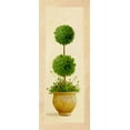 thumbnail image 2 of Welby 12x24 Gold Ornate Wood Framed with Double Matting Museum Art Print Titled - Ball Topiary II, 2 of 4