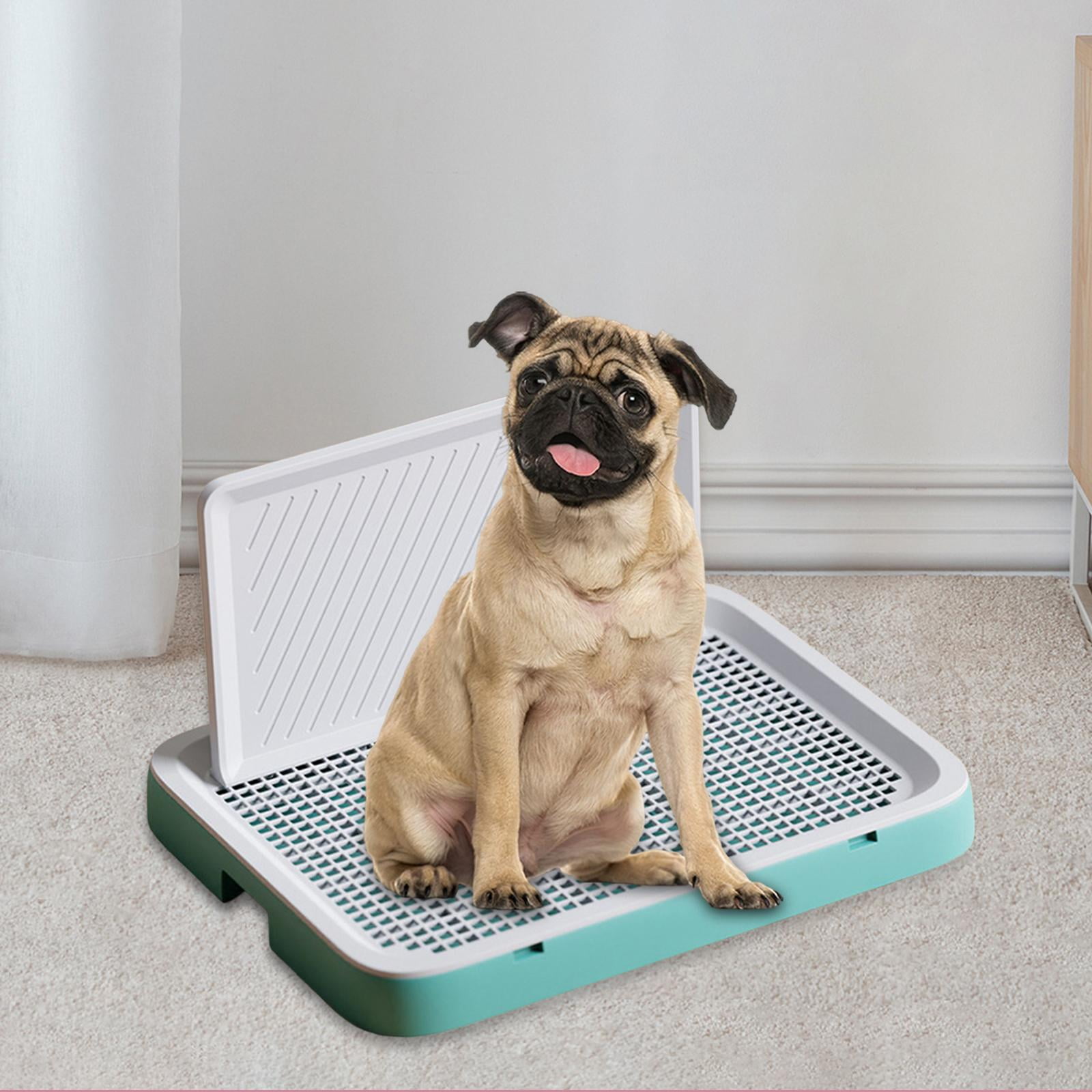 Dog litter box shop walmart
