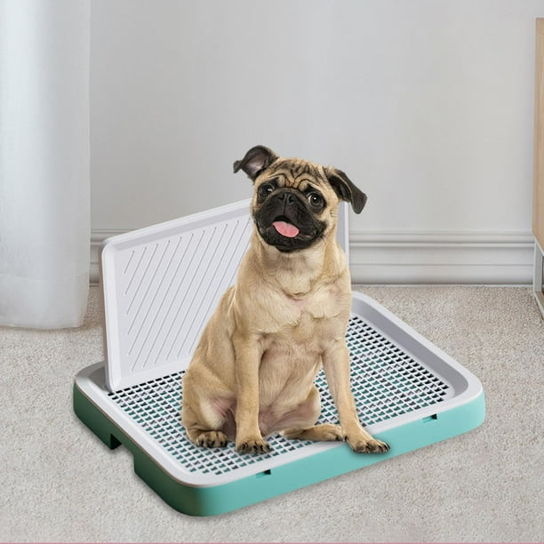 Large indoor hotsell dog toilet