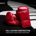thumbnail image 5 of Hayabusa Pro Horsehair Fight Boxing Gloves for Men & Women - layered Horsehair and Foam Knuckle Padding, Top-Grain Cowhide Leather, Lace-Up Closure, Ergonomic Design, for Amateurs & Pros - Red, 8oz, 5 of 6