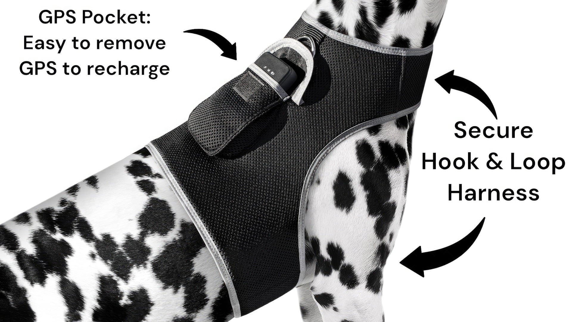 Realtime Waterproof Pet Locator GPS GSM Rechargeable Dog / Cat Tracker Size:XL