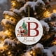 thumbnail image 5 of Adornos navideños, 26 letras, adornos colgantes para árbol de Navidad, adornos navideños personalizados, adornos navideños DIY, decoración navideña, decoración colgante para árbol de Navidad, artículo, 5 of 5