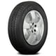 thumbnail image 1 of Llanta Yokohama AVID S33B 225/65R16 100S, 1 of 1