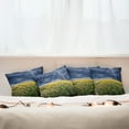 thumbnail image 7 of Ambesonne Nature Throw Pillow Cover 4 Pack, Thunder Bolt Rural Field, 20", Yellow Blue, 7 of 7