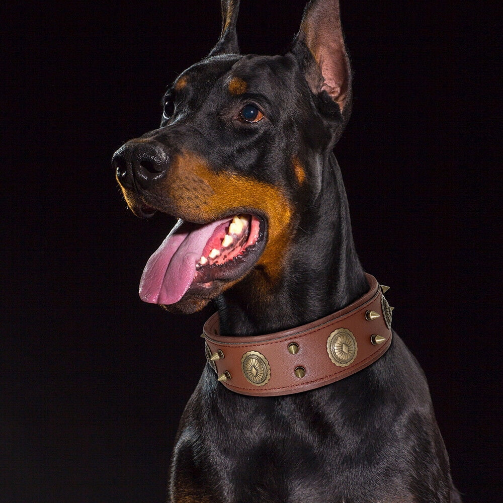 Didog 2" Wide Spiked Studded Genuine Leather Dog Collars Retro Heavy Duty for Medium Large Breeds