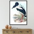 thumbnail image 2 of Designart 'Australian Vintage Birds I' Traditional Framed Canvas Wall Art Print, 2 of 5