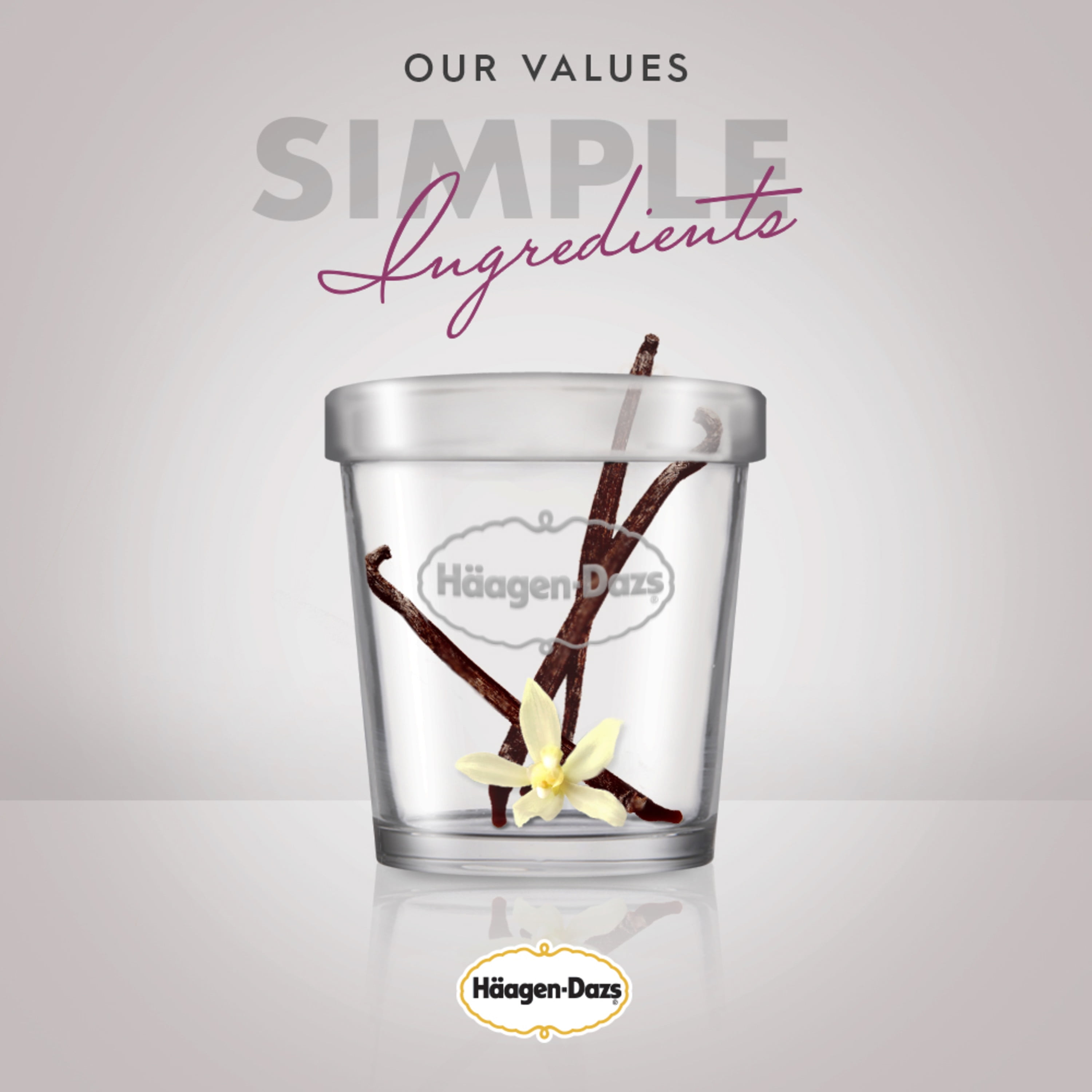 HÄAGEN-DAZS Chocolate Hazelnut Ice Cream Bars – 3 x 88ml, 3 x 88 ML