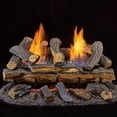 thumbnail image 5 of Duluth Forge Ventless Liquid Propane Gas Log Set - 24 in. Split Red Oak, 33,000 BTU, T-Stat Control - Model# DLS-L24T-1, 5 of 9