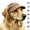 Brown, variant on Pet Baseball Cap with Ear Holes, Dog Baseball Hat,Cat Baseball Hats-Multi-Color Sun Visor Hat for Dogs & Cats, Spring Summer Fall Beach Headwear, Adjustable Breathable Dog Cap for Pets