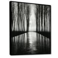 thumbnail image 2 of Designart "Silence Photography: Black And White Forest III" Forest Floater Framed Canvas Prints, 2 of 5