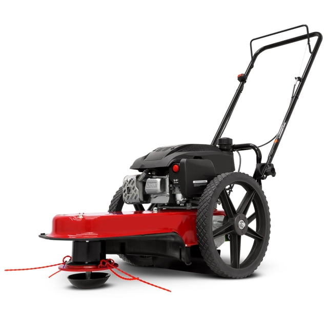 Earthquake Tondeuse à Cordes à Pousser avec Moteur ViperTM de 160 Cc, 45901