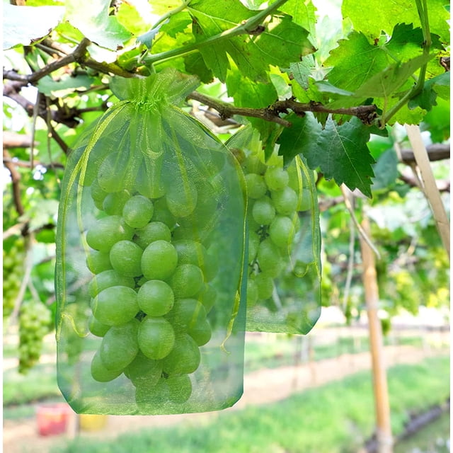 Paquete de 100 bolsas protectoras para racimos de uvas, bolsa de organza para frutas con cordones que brindan protección total contra (30 x 20 cm) ER