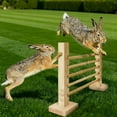 thumbnail image 5 of Rabbit Jump Bar Wooden Adjustable Hurdles Training Rabbit Obstacle Exercise Course For Small Dog Squeaky Large Mini Clothes Puppy Dog without Stuffing And Squeaker Chewers Dog Christmas A Little Chew, 5 of 5