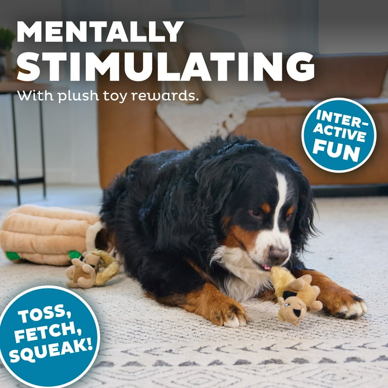 Outward Hound Hide-A-Squirrel Dog Toy  Interactive Plush Puzzle with 6  Squeaky Squirrels - Walmart.com