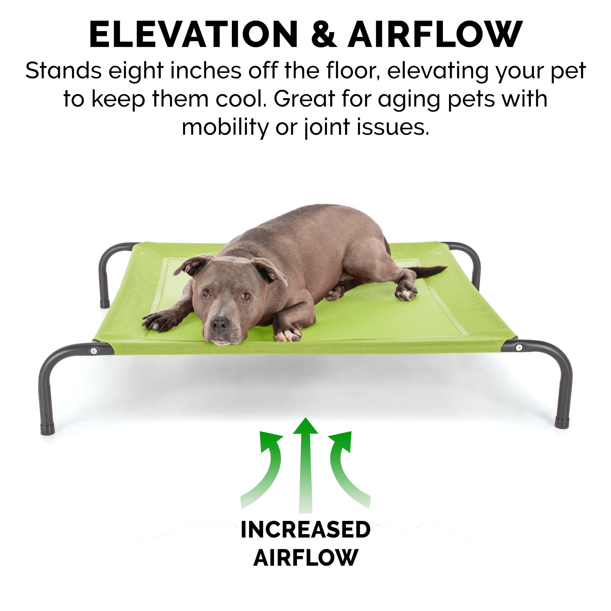 FurHaven Pet Products Elevated Cot Pet Bed - Gecko Green, Small