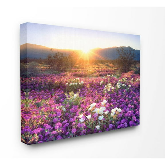 The Stupell Home Decor Collection Dune Wildflowers at Sunset Canvas Wall Art