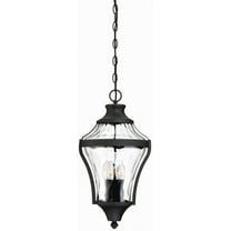 Minka Lavery - Great Outdoors - Libre - 4 Light Outdoor Chain Hung Pendant In