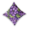 thumbnail image 2 of Grapes and Leaves Cartoon Throw Pillow Covers Pillowcases 16 x 16 Inch Home Decor 2 Packs for Bedroom Sofa, 2 of 6