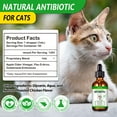 thumbnail image 3 of Oimmal Natural Antibiotics for Cats Liquid, Help with Anti Inflammatory & Bacterial &Viral & Fungal, Dietary Supplement for Cat - 2 fl oz(60 ml) - Chicken Flavor, 3 of 11
