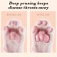 thumbnail image 4 of onlyliua Liquidación Afeitadora para Perros Al Por Mayor, Amoladora de Uñas, Cortadora de Pelo para Pies, Cortadora de Empuje, Herramienta de Limbieza y Lubricantes 1 Ml, 4 of 7