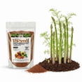 thumbnail image 4 of Old Cobblers Farm™ Wicked Organics Tea Seed Meal Strong Roots, Vibrant Blooms & Healthy Harvests (5 lbs | 10 lbs | 15 lbs | 20 lbs)(5lbs), 4 of 12