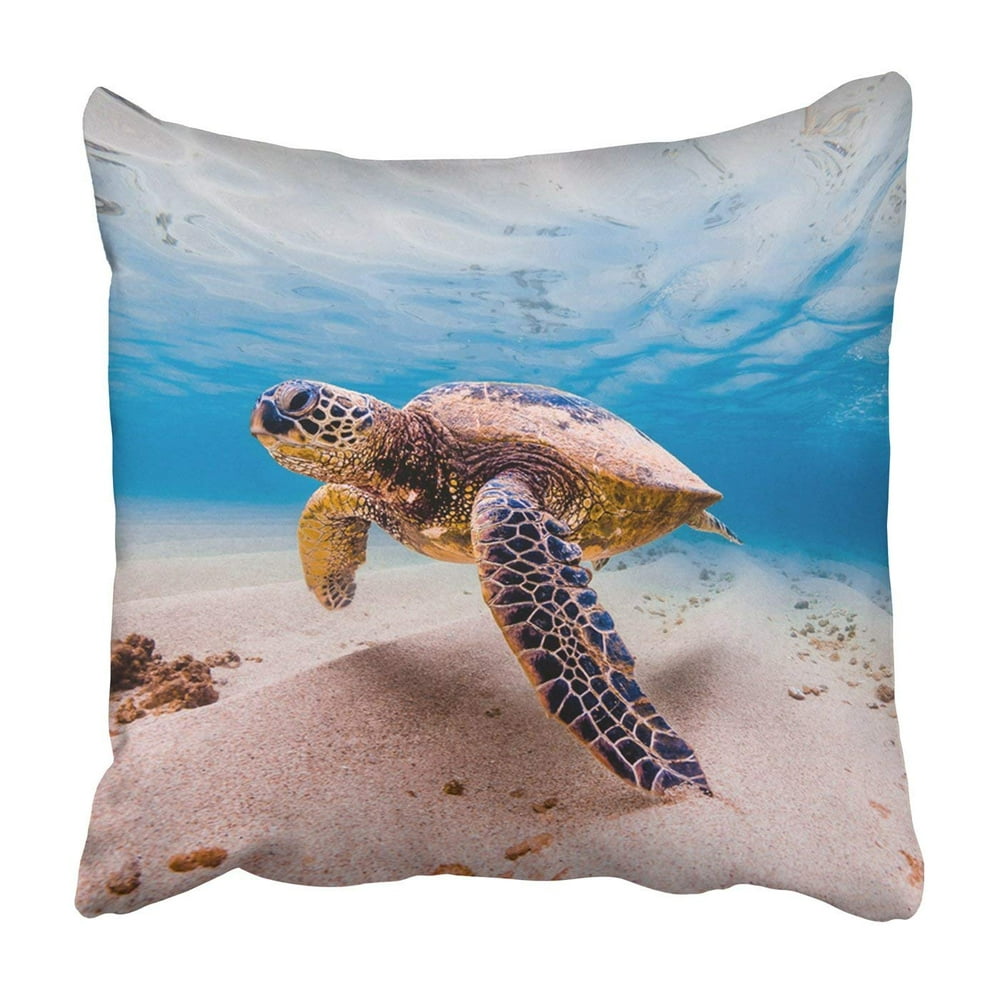 travel pillow turtle