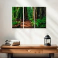 thumbnail image 2 of Elephant Stock Redwood Forest Path Wall Art - Horizontal Multi Panel Canvas - Living Room Wall Decor - Nature Multi Panel - Brown And Green Decor - 23" x 14", 2 of 4