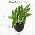 thumbnail image 3 of 11 Inch Artificial Snake Plants in Pots Fake Tropical Sansevieria Small Potted Plants Desk Table Top Decor 20 Leaves Fake Laurentii Indoor Outdoor Home Decor Trifasciata ‘Hahnii’, 3 of 6