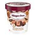 thumbnail image 1 of HAAGEN-DAZS Chocolate Hazelnut Ice Cream, Chocolatey Hazelnut Ripples, Canadian Dairy, 450 ml, 1 of 7