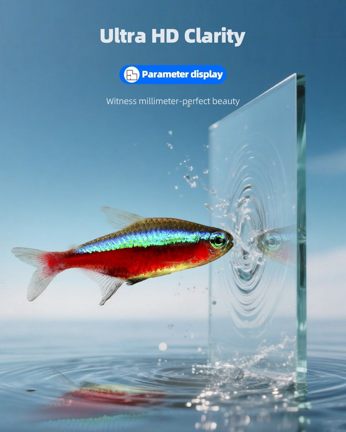 2.5 Gallon Clear Glass Aquarium for Betta Fish, Goldfish, Snails, Shrimp and Live Aquatic Plants