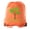 Orange, variant on Family Tree with Custom Name and Date-Family Reunion Party Favor Bags
