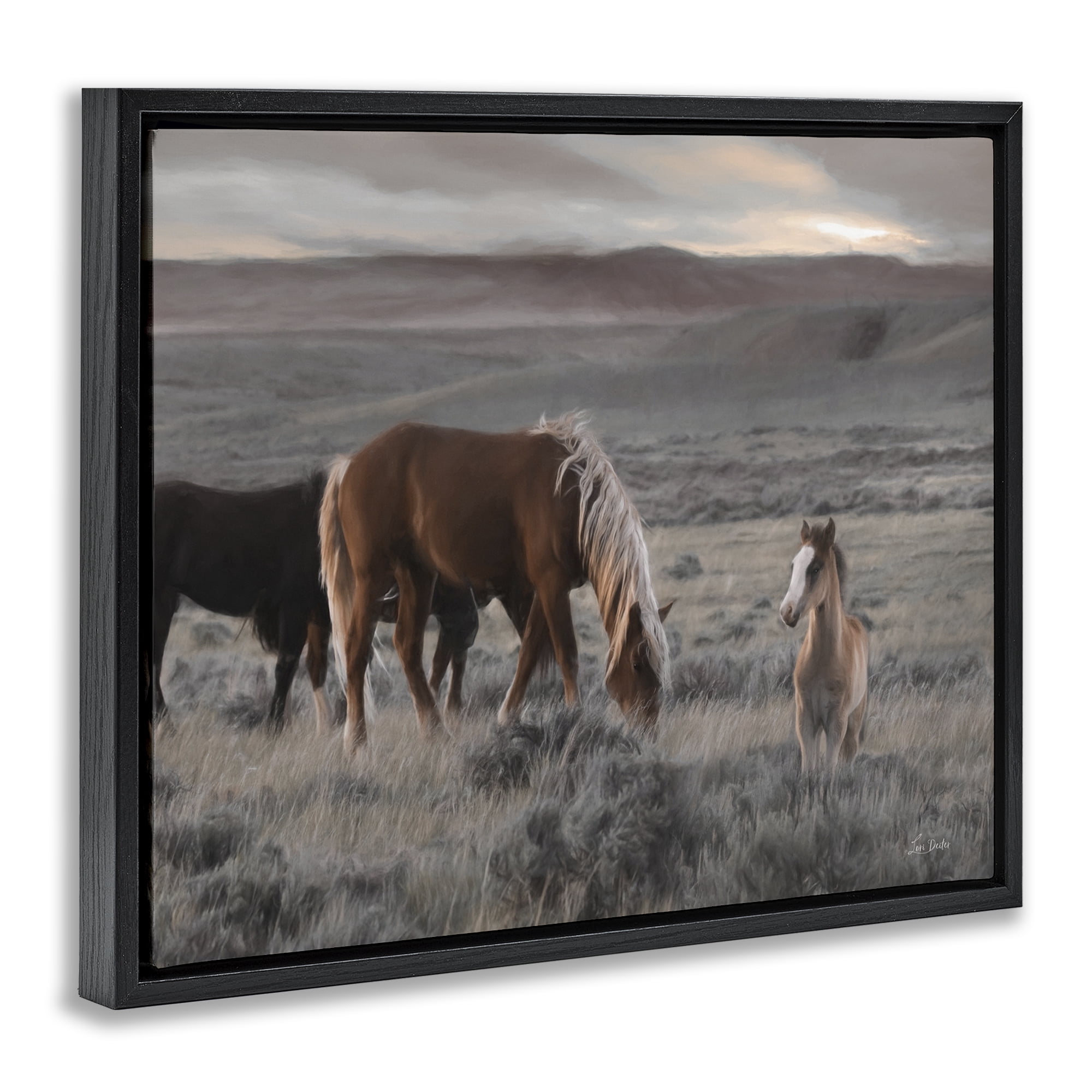 Stupell Industries Country Horses in Valley Animals Photography Black Floater Framed Canvas Art Print Wall Art, 31 x 25