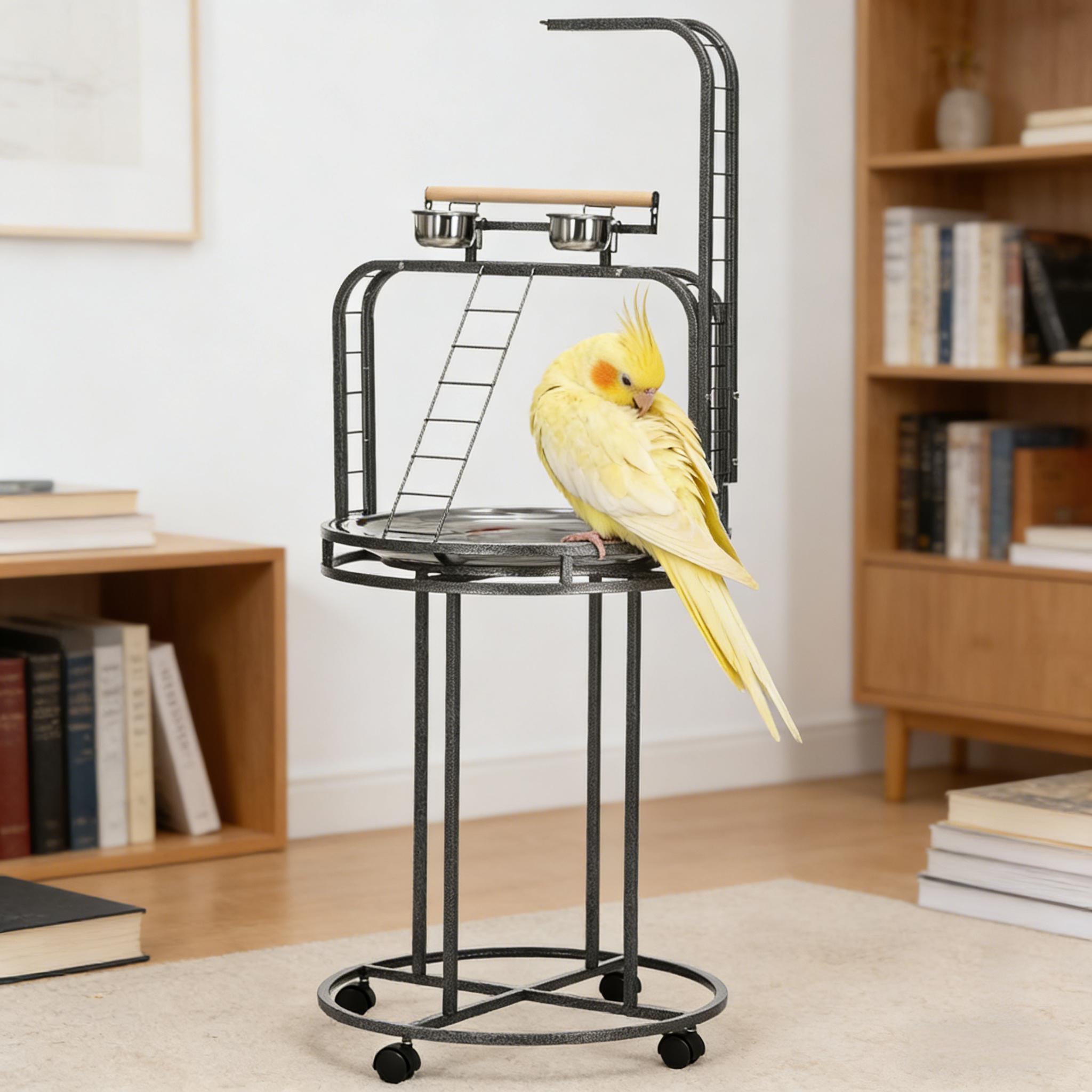 Bird Wooden Stand, Parrot Stand Large Bird Perch Stand