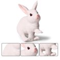 thumbnail image 4 of Gwong Juguete Simulación conejo liebre animal modelo decoración del hogar educativo niños juguete regalo Gwong 30003785, 4 of 7