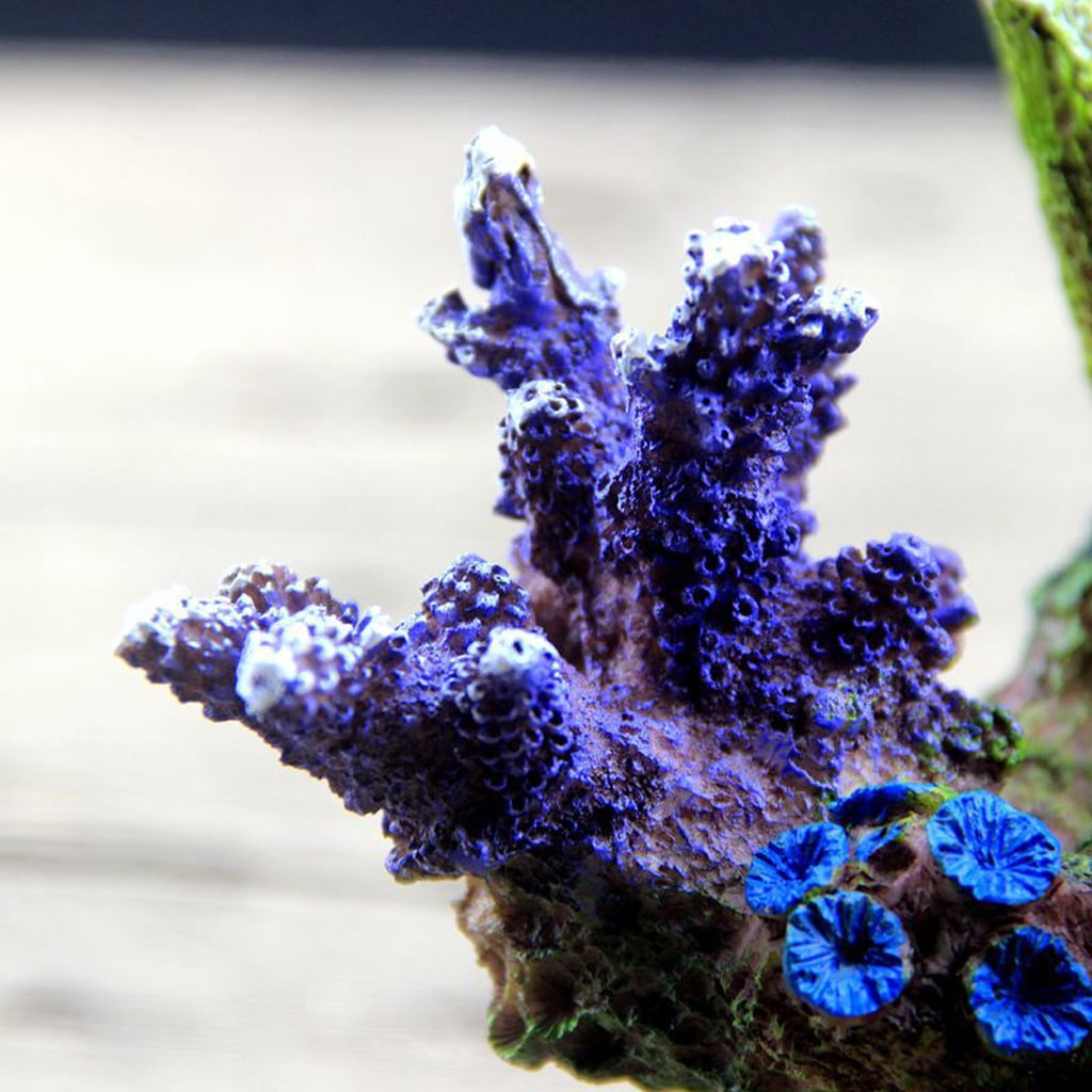 Aquarium Coral Decor Fish for Tank Coral Rocks Resin Cave Safe and Harmless