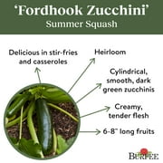Burpee Fordhook Zucchini Summer Squash Vegetable Seed, 1-Pack