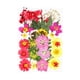 thumbnail image 1 of Billuyoard Conjunto de flores secas para decoración de álbumes de recortes Decoración del hogar tipo 11 Billuyoard HA062478-11B, 1 of 6