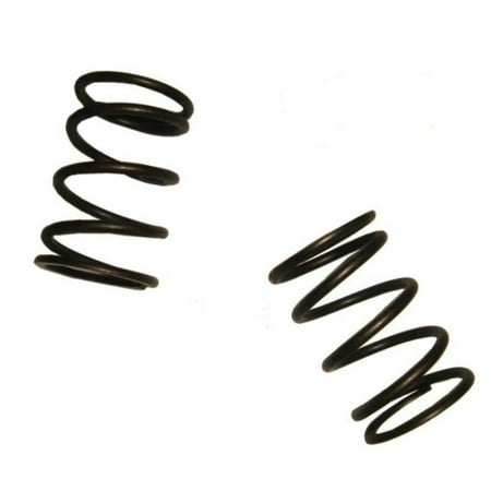 Bag Honda 8 Hp Stone - Fits Honda GX240 8 hp VALVE SPRING SET OF 2 FITS 8HP engines