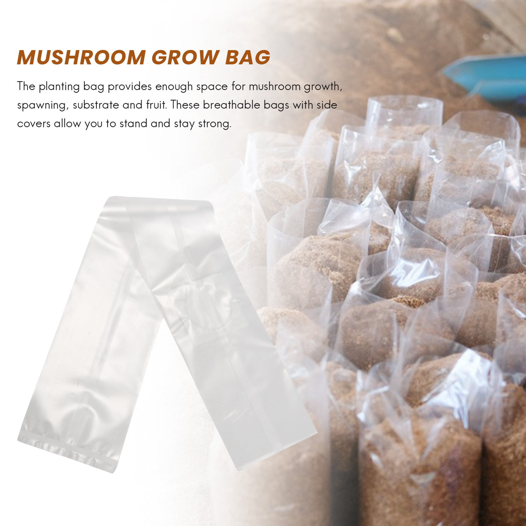 Hybrid White Mushroom Spawn, Packaging Type: pp Bag, Packaging Size: 1kg at  Rs 125/kg in Surat