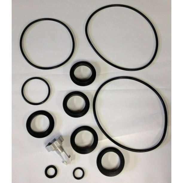 Intex Replacement Gasket and Air Release Valve Set