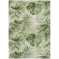 thumbnail image 2 of Addison Rugs Chantille Indoor/Outdoor Transitional Floral Aloe Machine Washable Rectangle Rug, 5' x 7'6", 2 of 8